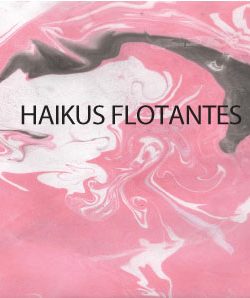 haikus flotantes TApa