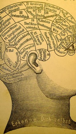 Phrenology1